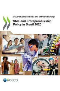 OECD — SME and Entrepreneurship Policy in Brazil 2020