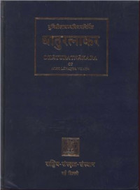 Lavanyavijaya M. — Dhaturatnakara (Таблицы глагольных форм) Volume 1. Tinantaprakriya