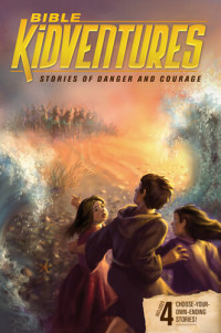 Sheila Seifert, Jeanne Dennis — Bible Kidventures Stories of Danger and Courage