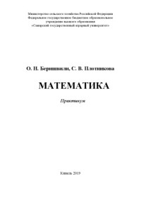 Беришвили О.Н. — Математика : практикум