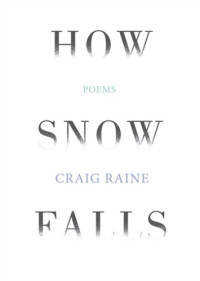 Raine, Craig — How Snow Falls