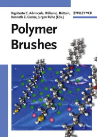 William J. Brittain, Rigoberto C. Advincula, Kenneth C. Caster, Jürgen Rühe — Polymer Brushes: Synthesis, Characterization, Applications