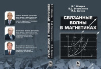 В. Г. Шавров, В. Д. Бучельников, И. В. Бычков — Связанные волны в магнетиках