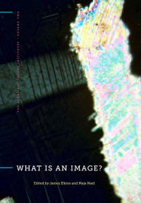 James Elkins, Maja Naef — What Is an Image?