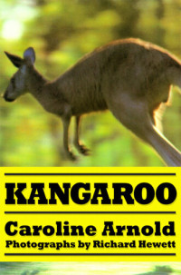 Caroline Arnold — Kangaroo