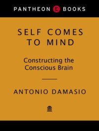 Damasio, Antonio R — Self Comes to Mind: Constructing the Conscious Brain