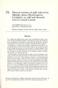 Baggato et Shorthouse — Mineral nutrition of galls induced by Diplolepis spinosa (Hymenoptera" Cynipidae) on wild and domestic roses in central Canada