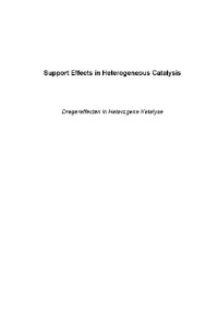 Oudenhuijzen M.K. — Support Effects in Heterogeneous Catalysis