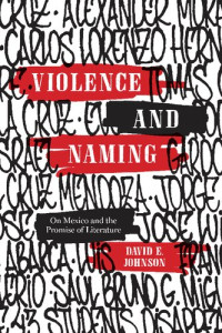 David E. Johnson — Violence and Naming: On Mexico and the Promise of Literature