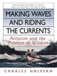 Charles Halpern — Making Waves and Riding the Currents: Activism and the Practice of Wisdom
