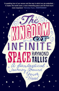 Tallis, Raymond — The kingdom of infinite space a fantastical journey around your head