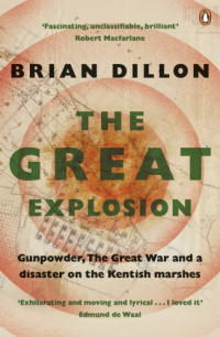 Brian Dillon — The Great Explosion