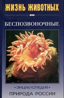 О. В. Волцит, М. Е. Черняховский (Под редакцией И. Я. Павлинова) — Природа России: жизнь животных. Беспозвоночные