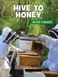 Julie Knutson — Hive to Honey
