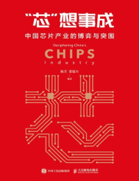 Chen Fang, Dong Ruifeng — Decipering China's Chips Industry (Chinese Edition)