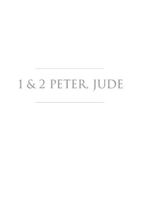 R. B. Vinson, R. F. Wilson, W. E. Mills — 1 & 2 Peter, Jude (Smyth & Helwys Bible Commentary)