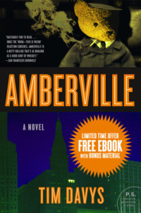 Tim Davys — Amberville