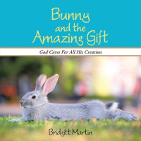 Bridgitt Martin — Bunny and the Amazing Gift: God Cares for All His Creation