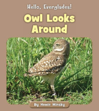 Howie Minsky — Owl Looks Around