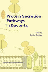 Joen Luirink, Bauke Oudega (auth.), Bauke Oudega (eds.) — Protein Secretion Pathways in Bacteria