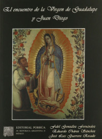 Eduardo Chávez Sánchez, Fidel González Fernández, José Luis Guerrero Rosado — El encuentro de la Virgen de Guadalupe y Juan Diego