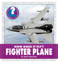 Matt Mullins — How Does It Fly? Fighter Plane