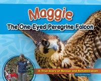 Christie Gove-Berg — Maggie the One-Eyed Peregrine Falcon: A True Story of Rescue and Rehabilitation