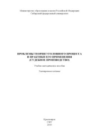 Коллектив авторов — Проблемы теории уголовного процесса и практики его применения (судебное производство)