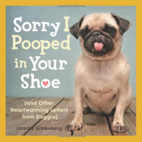 Jeremy Greenberg — Sorry I Pooped in Your Shoe