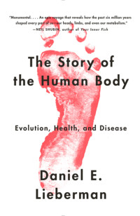 Lieberman, Daniel E — The Story of the Human Body: Evolution, Health, and Disease