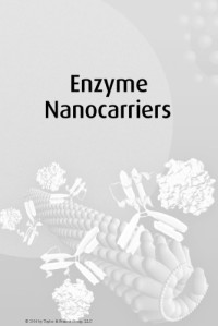 Cardinale, Daniela; Michon, Thierry — Enzyme nanocarriers