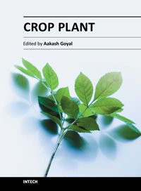 Aakash Goyal. — Crop Plant