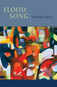 Sherwin Bitsui — Flood Song