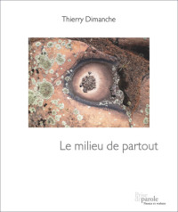 Thierry Dimanche — Le milieu de partout