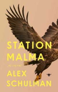 Alex Schulman — Station Malma