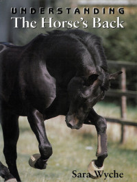 Sara Wyche — Understanding the Horse's Back