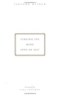 Sakyong Mipham — Turning the Mind into an Ally