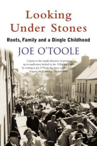 O'Toole, Joe — Looking Under Stones