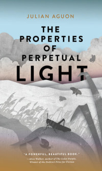 Julian Aguon — The Properties of Perpetual Light