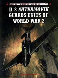 Oleg Rastrenin, A Yurgenson — Il-2 Shturmovik: Guards Units of World War 2