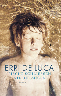 Erri De Luca — Fische schließen nie die Augen