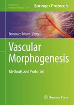 Domenico Ribatti (eds.) — Vascular Morphogenesis: Methods and Protocols