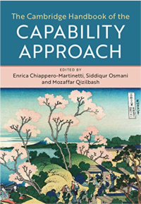 Enrica Chiappero Martinetti — The Cambridge Handbook of the Capability Approach