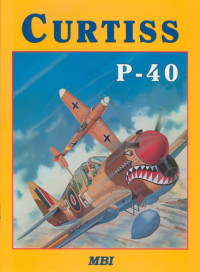 Vlastimil Ehrman, Valerij Roman — Curtiss P-40