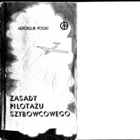 Andrzej Pazio — Zasady pilotażu