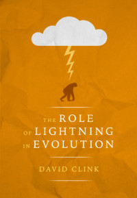 Clink, David;Kasturi, Sandra — The Role of Lightning in Evolution