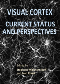 Molotchnikoff S., Rouat J.(eds.) — Visual Cortex: Current Status and Perspectives