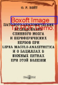 Войт О. Р. — Патолого-анатомические исследования спинного мозга и периферических нервов при Lepra maculo-anaesthetica и о бациллах в кожных пятнах при этой болезни: диссертация