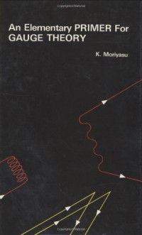 K Moriyasu — An Elementary Primer For Gauge Theory