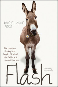 Ridge, Rachel Anne — Flash: the homeless donkey who taught me about life, faith, and second chances